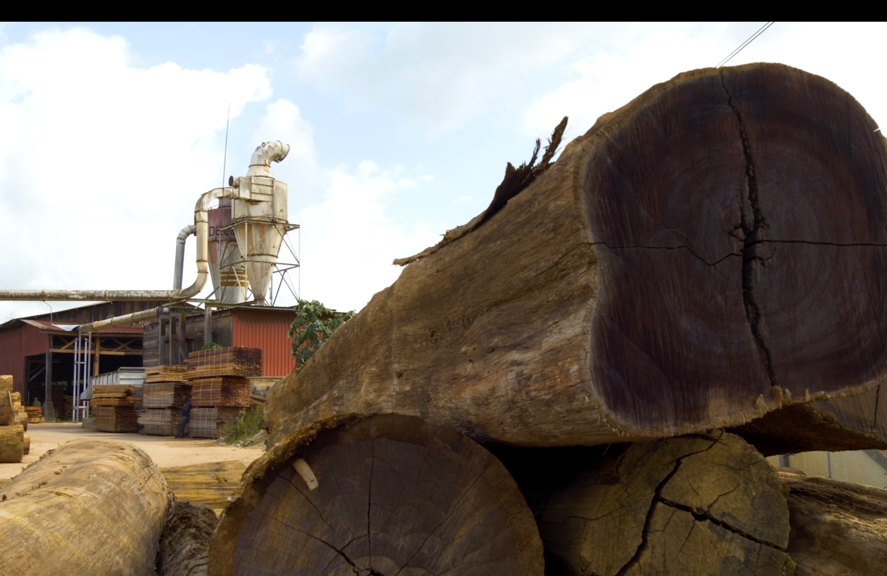 Load video: Immerse yourself in the world of the Weemo sawmill, SpacePep&#39;s partner in the processing of precious woods from Guyana. Discover the artisanal process that brings our knives to life, from the tree trunk to the final creation.